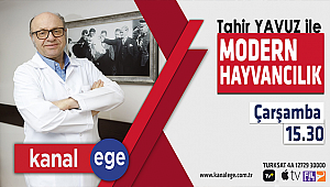 Tahir Yavuz ile Modern Hayvancılık