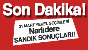 31 Mart 2019 Yerel Seçimleri Narlıdere Seçim Sonuçları