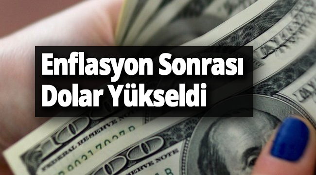 Dolar 5,60'ı Aştı